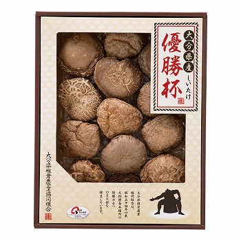 �啪���ő��_�Ƌ����g�� �啪���Y�ő� ����(������) �D���t (���o-40)
